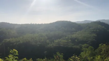 MOV HD (1280×720)